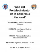 APARATO CIRCULATORIO HUMANO