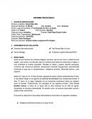 INFORME PSICOLOGICO EJEMPLO