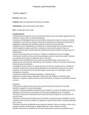 Proyecto cuatrimestral 6to: “Somos viajeros”