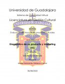 Diagnóstico de un producto y marketing mix