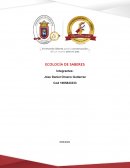 Taller sobre “Ecología de Saberes”