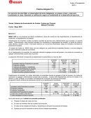 Costos y Presupuestos. Práctica Dirigida