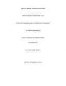 Evidencia: Análisis de caso “Modelos mentales"