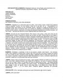 Obra teatral Don Quijote. Obra teatral