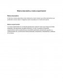 Música descriptiva y música experimental