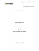 ¿En qué consiste el paradigma ambientalista?