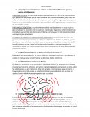 CUESTIONARIO Electromagnetismo