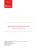 ANÁLISIS AUDITORÍAS ESPECÍFICAS A CASOS REALES