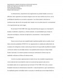 ENSAYO CRITICO IT FACTORY SAS