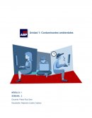 Contaminantes ambientales