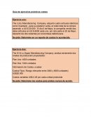 Guía de ejercicios prácticos costos