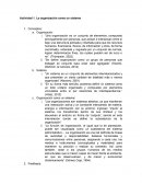 Actividad 1. La organización como un sistema