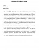 EL PULMÓN DEL MUNDO EN LLAMAS