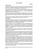 TIPO DE CAMBIO - ENSAYO