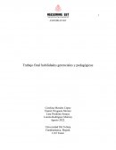 ASESORIAS SST Trabajo final habilidades gerenciales y pedagógicas