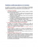 CAMBIOS CARDIOVASCULARES EN EL ADULTO MAYOR