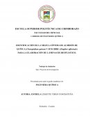 IDENTIFICACIÓN DE LA MEZCLA ÓPTIMA DE ALMIDÓN DE QUÍNUA