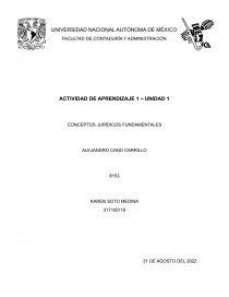 CONCEPTOS JURÍDICOS FUNDAMENTALES. Página 1