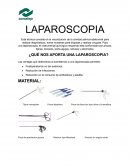 Laparoscopia