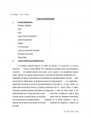 EA Psicología – UPEU- Tarapoto PLAN DE INTERVENCIÓN