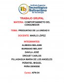 DETALLE SU INTERPRETACION RESPECTO MOTIVACION DEL CONSUMIDOR