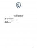 Triángulos- elementos y propiedades