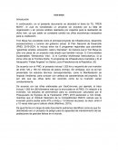 TREN MAYA proyecto de administración