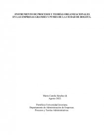 INSTRUMENTO DE PROCESOS Y TEORÍAS ORGANIZACIONALES EN LAS EMPRESAS GRANDES Y PYMES DE LA CIUDAD DE BOGOTÁ. Página 1