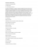 DIAGNOSTICO ORGANIZAIONAL empresa de CAR WASH