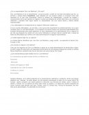 ¿Es un emprendedor Don Luis Martínez? ¿Por qué?