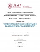 MALFORMACIONES CONGÉNITAS DE LOS ÓRGANOS DE LOS SENTIDOS
