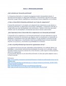 Formacion profesional