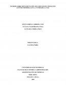 INFORME SOBRE IMPLEMENTACIÓN DEL SERVICIO DE CREMACIÓN (CENTRO MEMORIAL) EN LA FUNERARIA LA PAZ