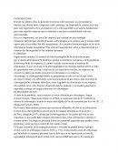 Usuarios afectados por ciberataques