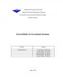 Generalidades de la Anatomía humana