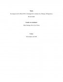 Investigacion de la Matriz BCG, Estrategia de la ventana rota, Dialogia, Hologramia y Recursividad
