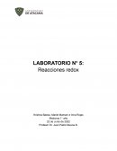 LABORATORIO N° 5: Reacciones redox
