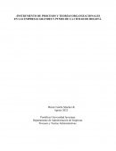 INSTRUMENTO DE PROCESOS Y TEORÍAS ORGANIZACIONALES EN LAS EMPRESAS GRANDES Y PYMES DE LA CIUDAD DE BOGOTÁ