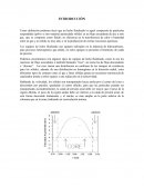 Caída de presión en lecho fluidizado