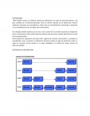 DISTRIBUCIÓN: RAPPI SHOES