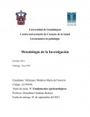 Epistemología y paradigmas en el conocimiento científico