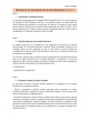 Resumen de las Apreciaciones de las notas Financieras 1, 2, 3 y 4