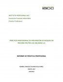 PRÁCTICA PROFESIONAL DE PREVENCIÓN DE RIESGOS EN PACKING FRUTOS LAS AGUADAS S.A