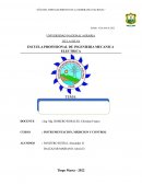 Ensayo tecnologico Limdley