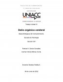 Daño orgánico cerebral ¿Qué pasa en la necrosis?