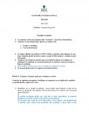 Economia internacional