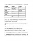 Comparación entre las sociedades de personas y las sociedades por acciones