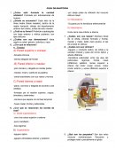 GUÍA DE ANATOMÍA