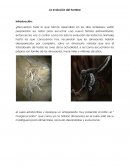 La evolución del hombre