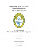 Informe Capítulo 5: Poeta de la compasión